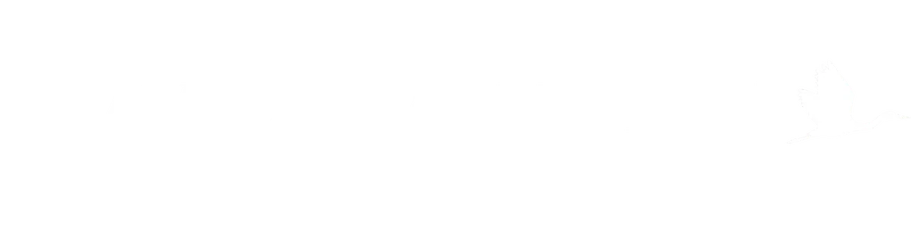 Travel Charleston